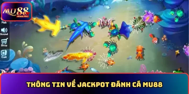 Thông tin về jackpot đánh cá MU88